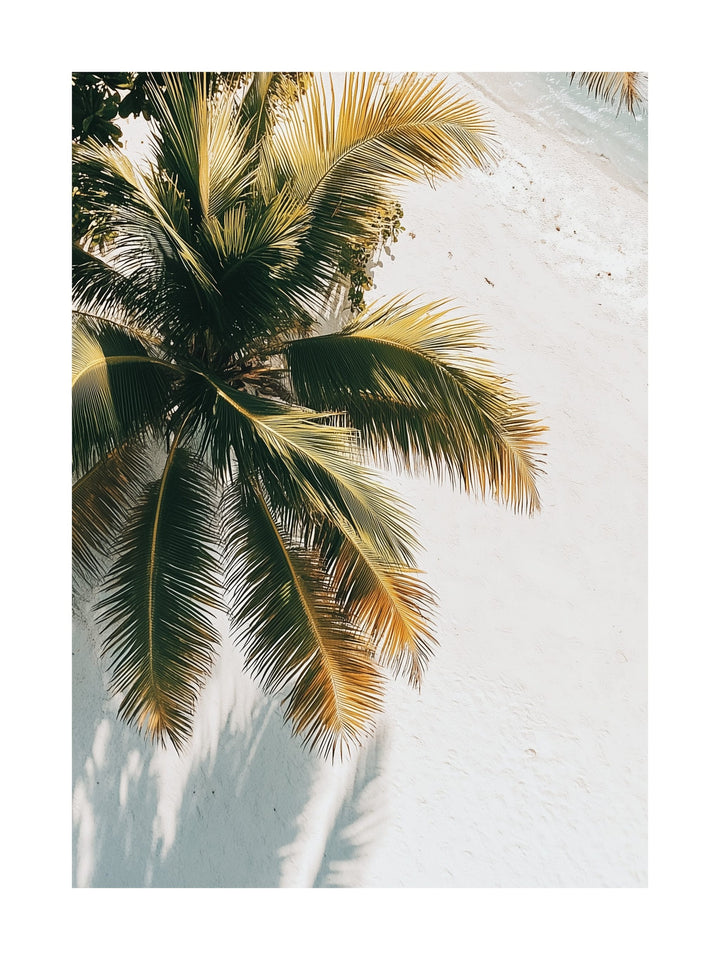 Palm tree with golden-hued fronds over white sand. Ideal for wall art in your home, office, or studio.