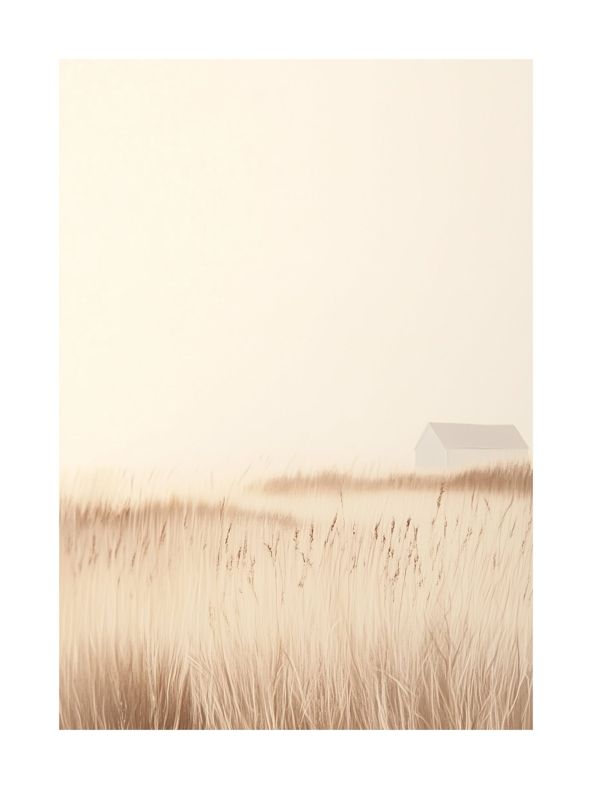 White cabin surrounded by misty golden reed fields in Falsterbo