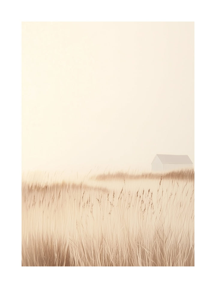 White cabin surrounded by misty golden reed fields in Falsterbo