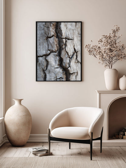 Weathered Birch Bark Texture Poster