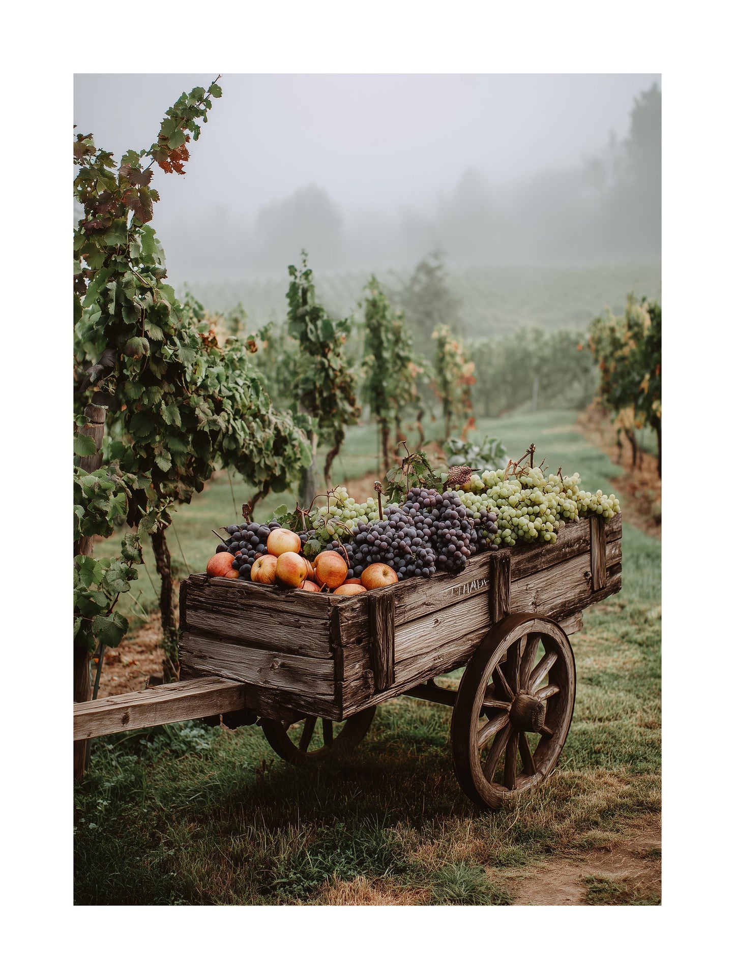 Poster of rustic wooden cart with grapes and apples in vineyard