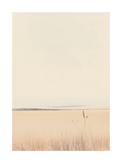 Minimalist photo of pale coastal fields fading into the horizon