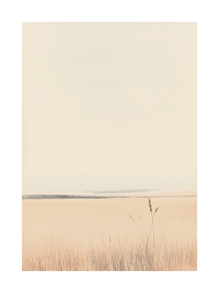 Minimalist photo of pale coastal fields fading into the horizon
