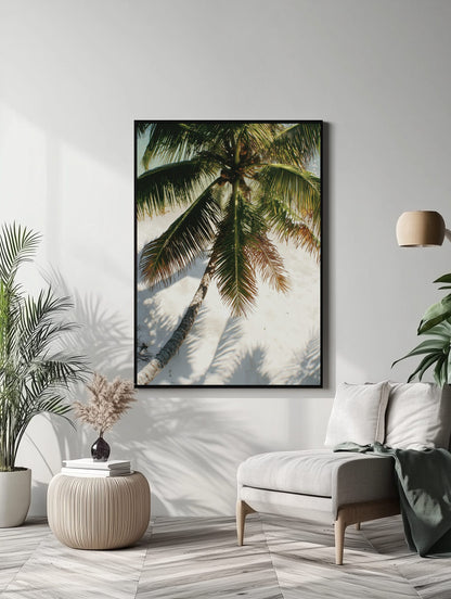 Tropical Palm Shade Poster