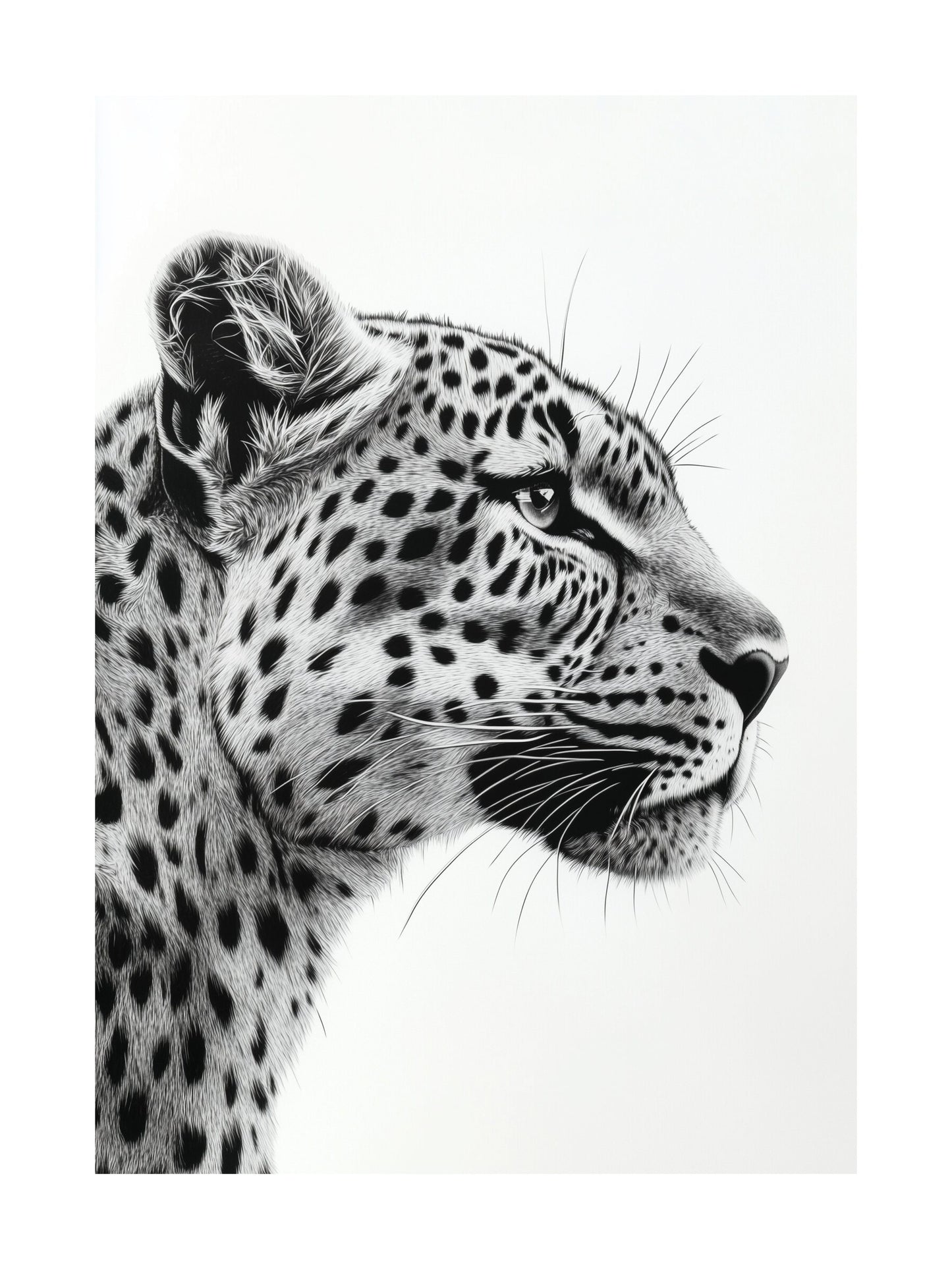 Black and white leopard portrait in profile view