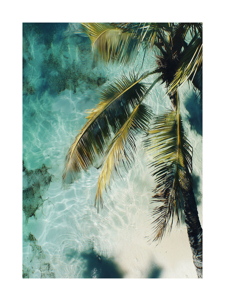 Coconut tree shadow over a sunny white sand beach with shallow clear water. Ideal for wall art in your home, office, or studio.