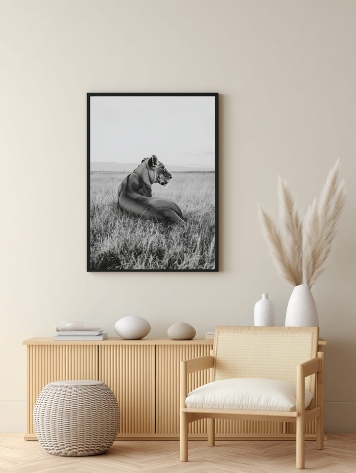 Resting Lioness Poster