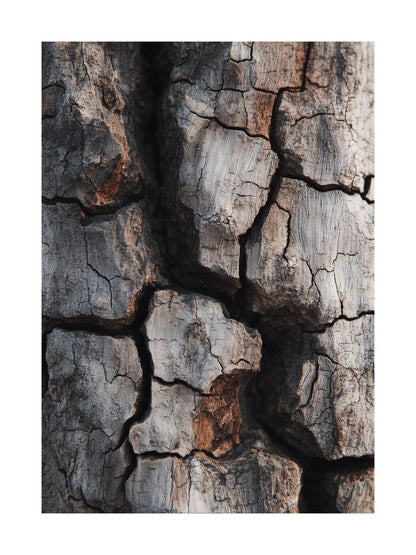 Dark cracked bark texture with warm brown tones Scandinavian nature poster
