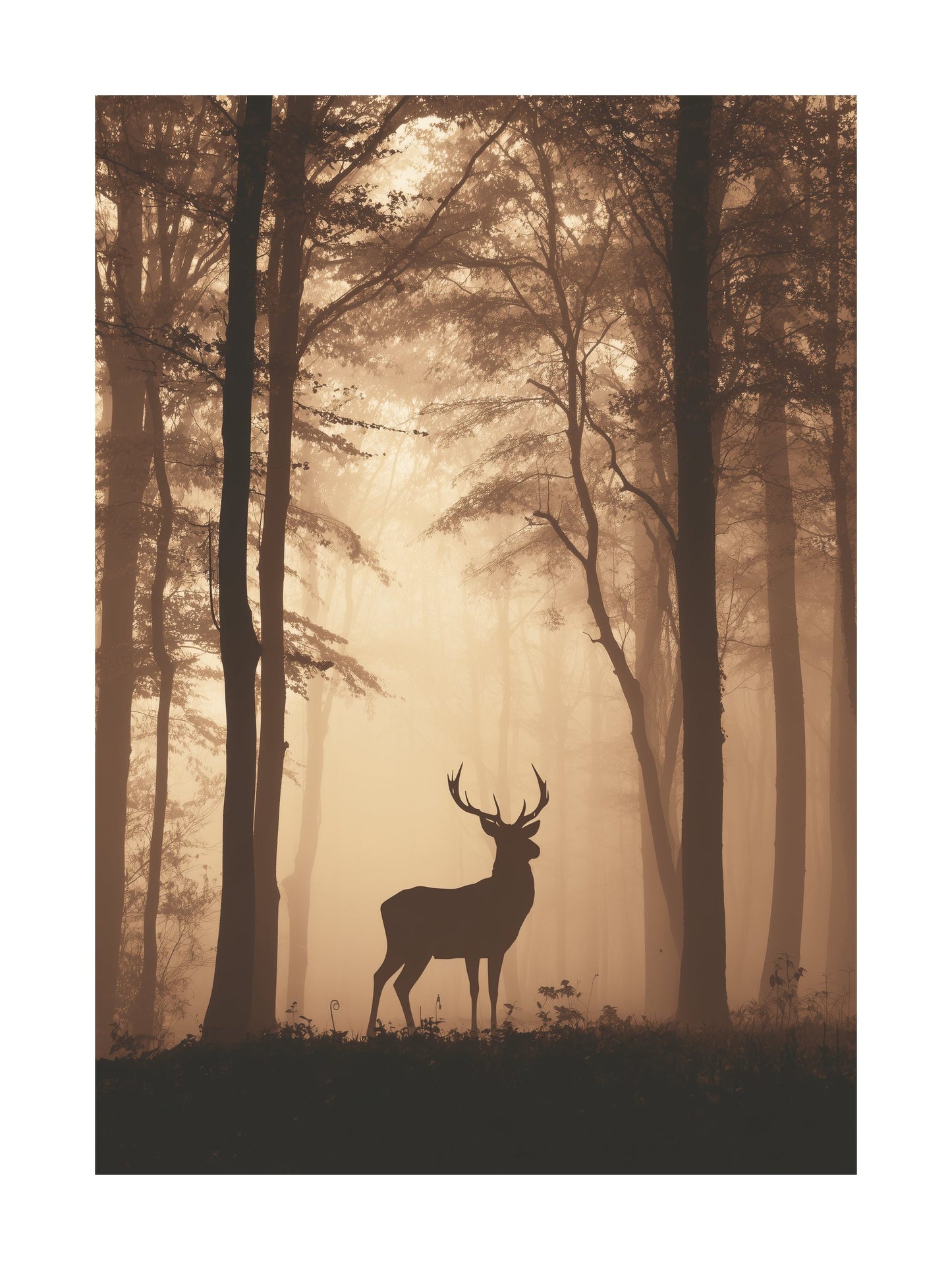 Poster of deer silhouette in foggy autumn forest