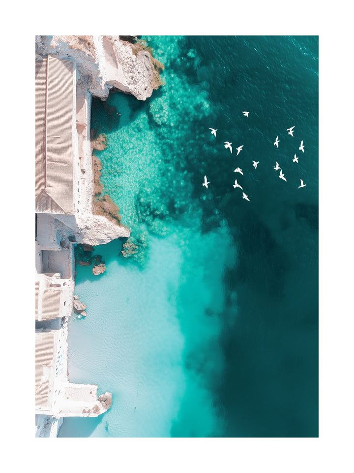 Aerial photo of buildings along cliffs with birds over the ocean. Ideal for wall art in your home, office, or studio.