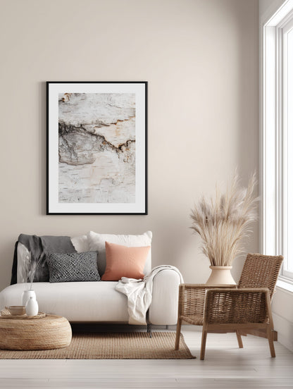 Birch Bark Texture Poster