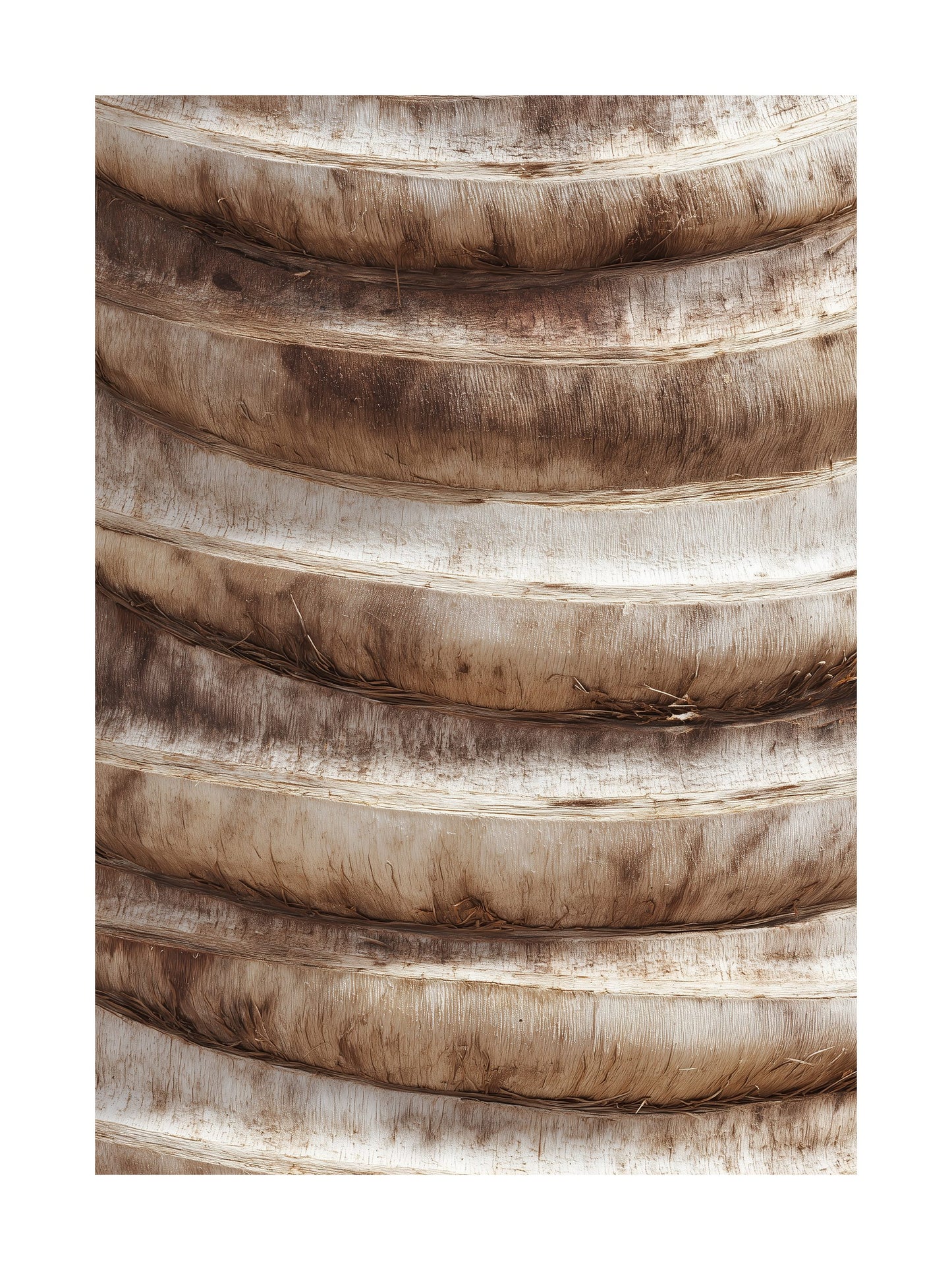 Close-up wood rings texture in warm brown and beige Scandinavian poster