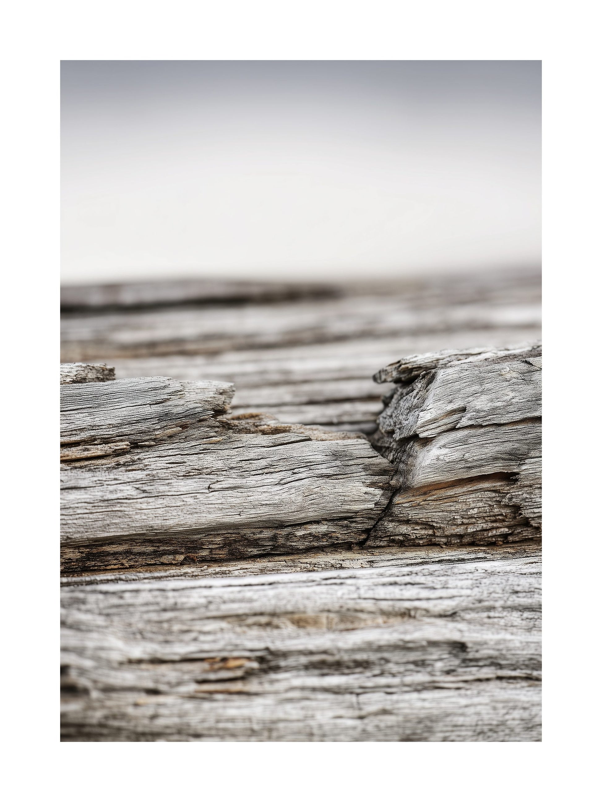 Nature poster showing close-up driftwood texture