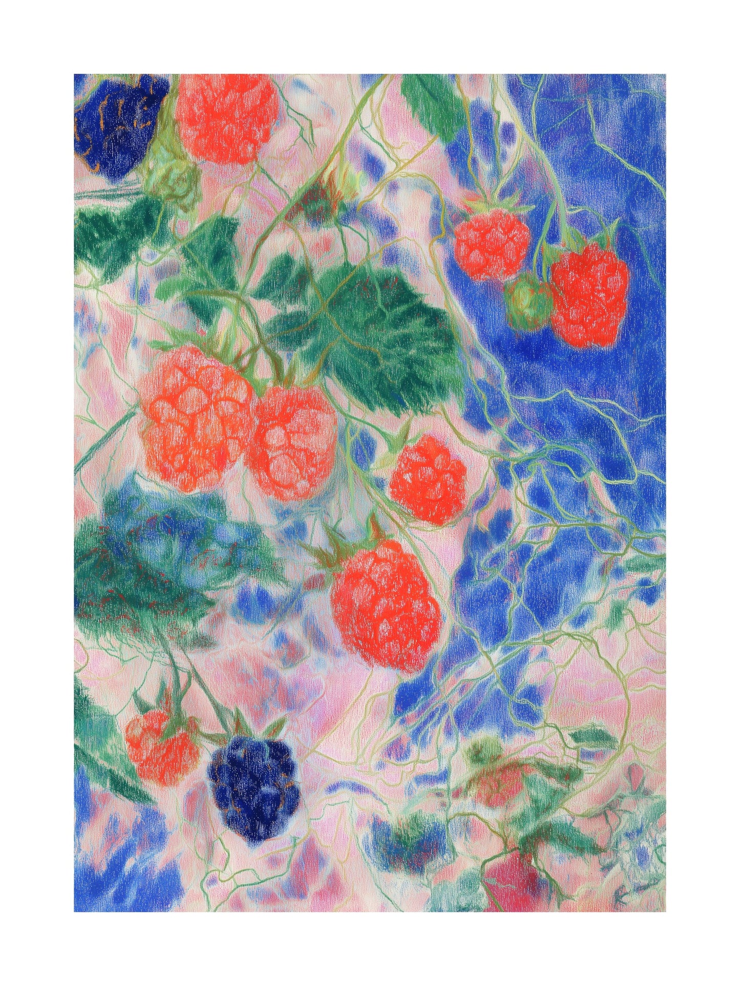 Bright raspberries and blackberries on a colorful vine background
