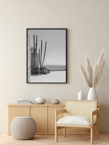 Cactus Courtyard Poster