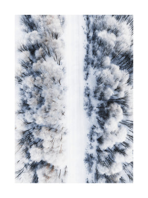 Snowy Forest Road Aerial Poster
