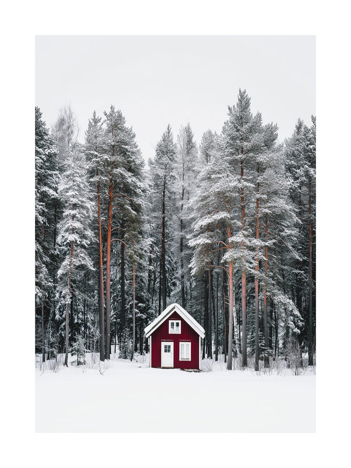 Red cabin in a snowy forest surrounded by tall pine trees.