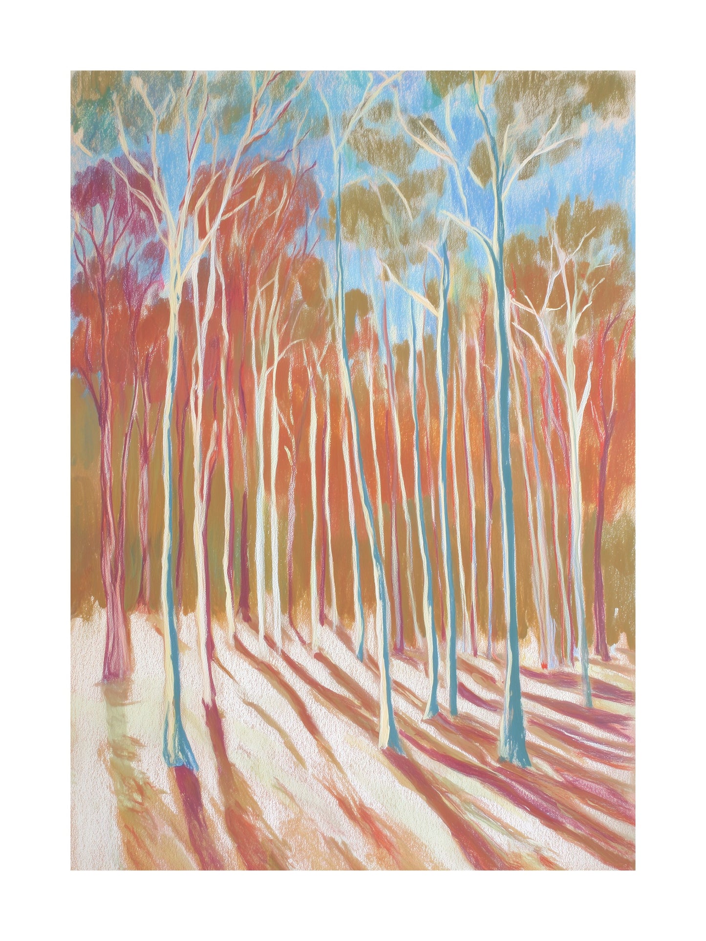 Pastel forest with eucalyptus trees and long shadows