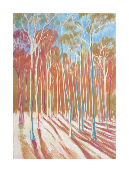 Pastel forest with eucalyptus trees and long shadows