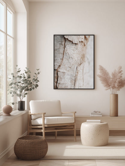 Soft Birch Surface Poster
