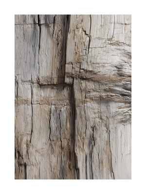 Rustic Wood Grain Detail Poster