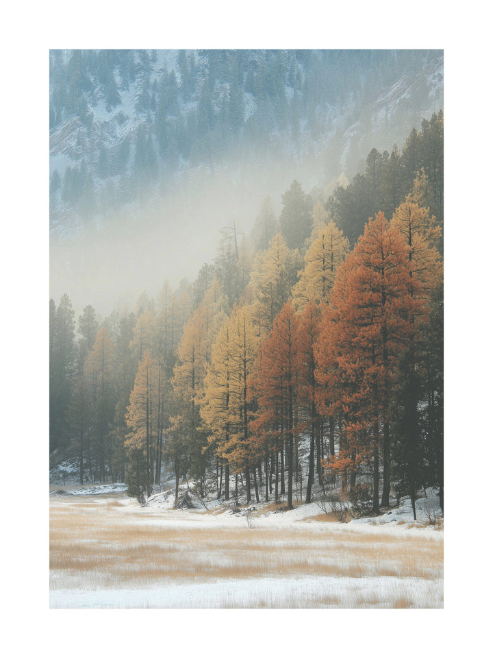 Foggy forest with golden pine trees and snowy ground in soft morning light.