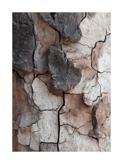 Layered tree bark texture in beige and grey tones Scandinavian nature wall art
