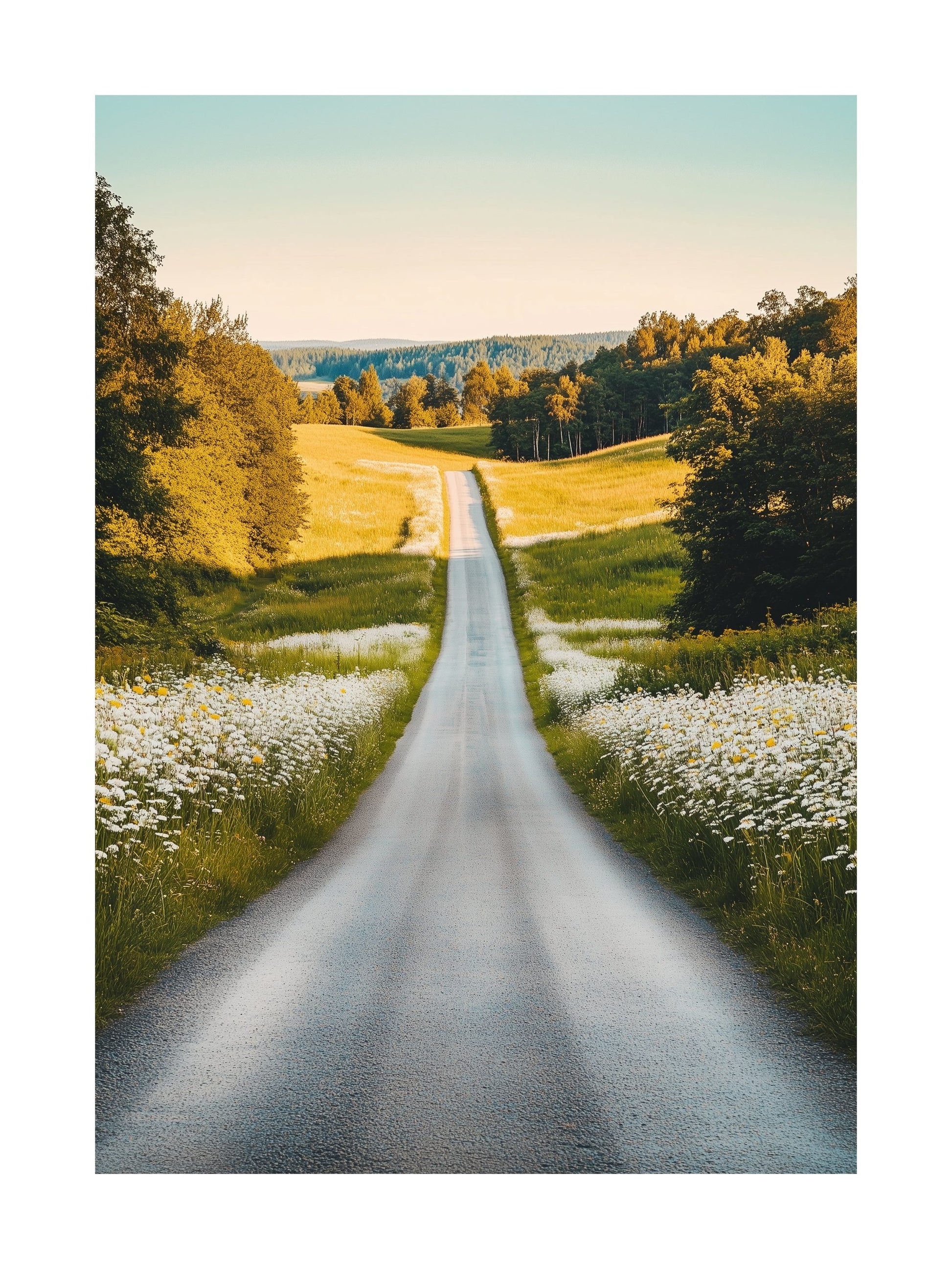 Long empty road with wildflowers on each side in the Swedish countryside