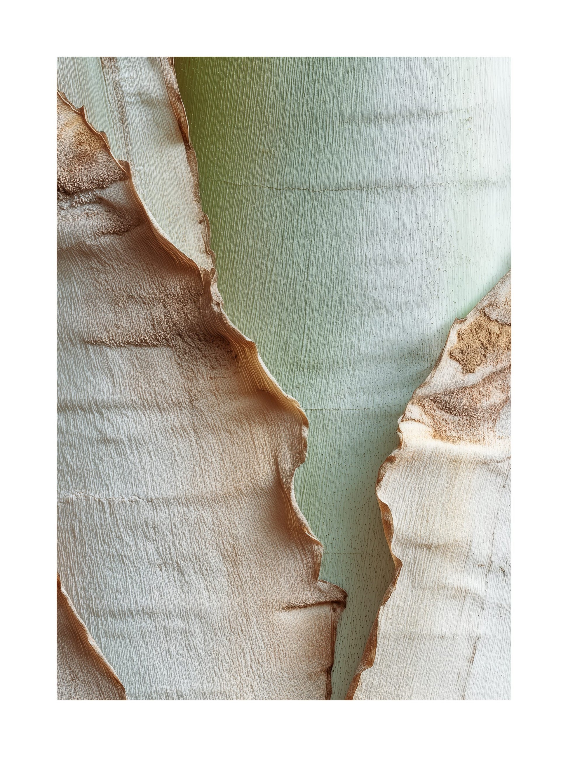 Peeling bark with sage green and beige tones Scandinavian nature poster