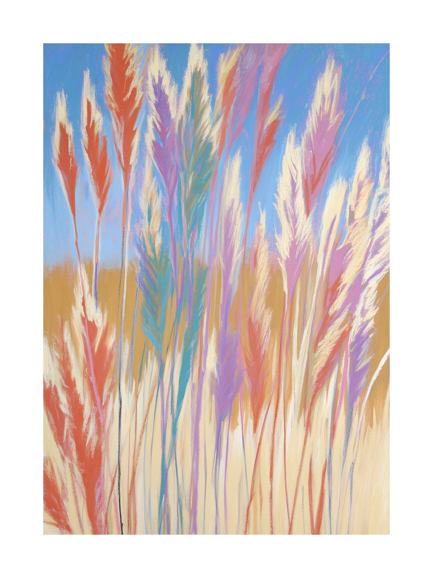 Pastel pampas grass in a meadow with blue sky