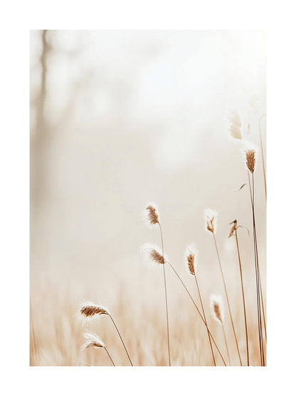 Soft beige poster with sunlit field reeds blowing gently in the wind