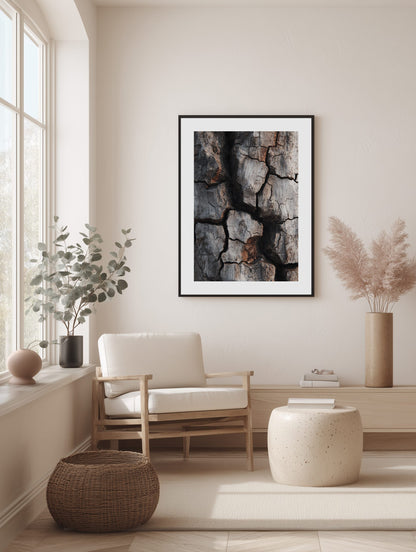 Dark Bark Contrast Poster