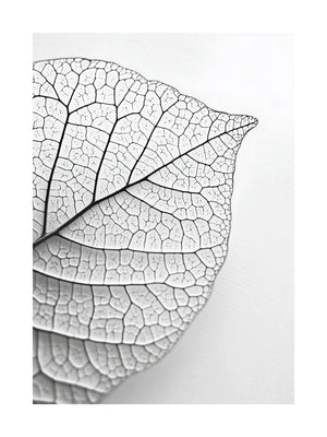 Veined Leaf Texture Poster