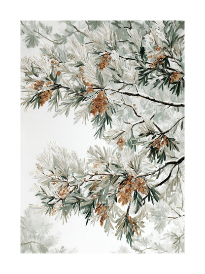 Painting of pine branches with cones covered in snow on a white background.