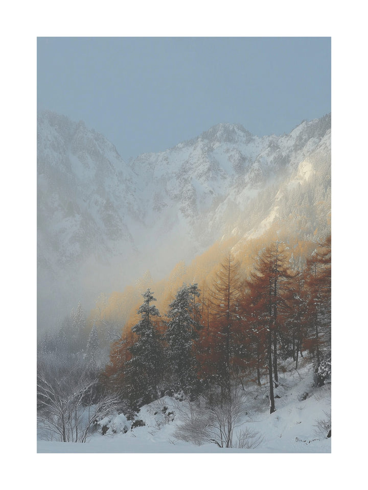 Forest covered in snow with distant mountain hills under blue sky.