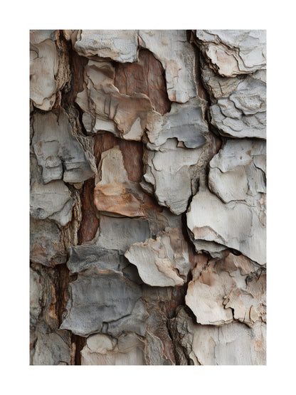 Layered pine bark texture with warm earthy tones Scandinavian nature poster