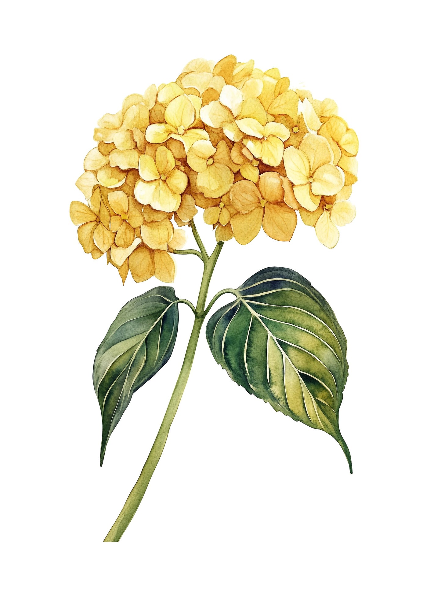 yellow hydrangea decorative wall art - modern poster for home or office