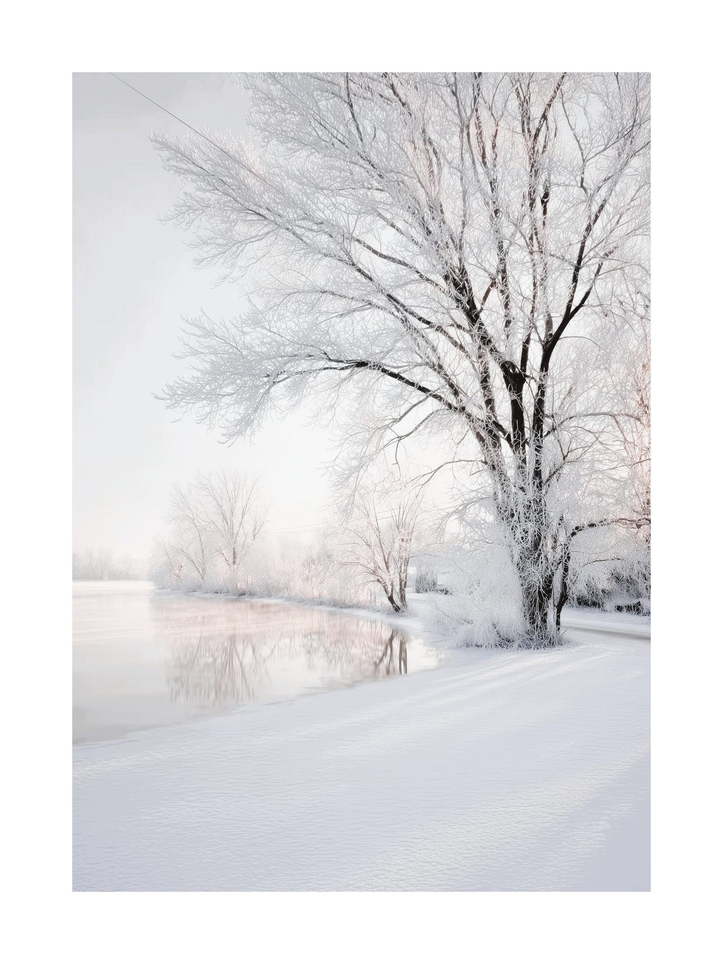 Snow-covered trees by a calm frozen lake on a winter day.
