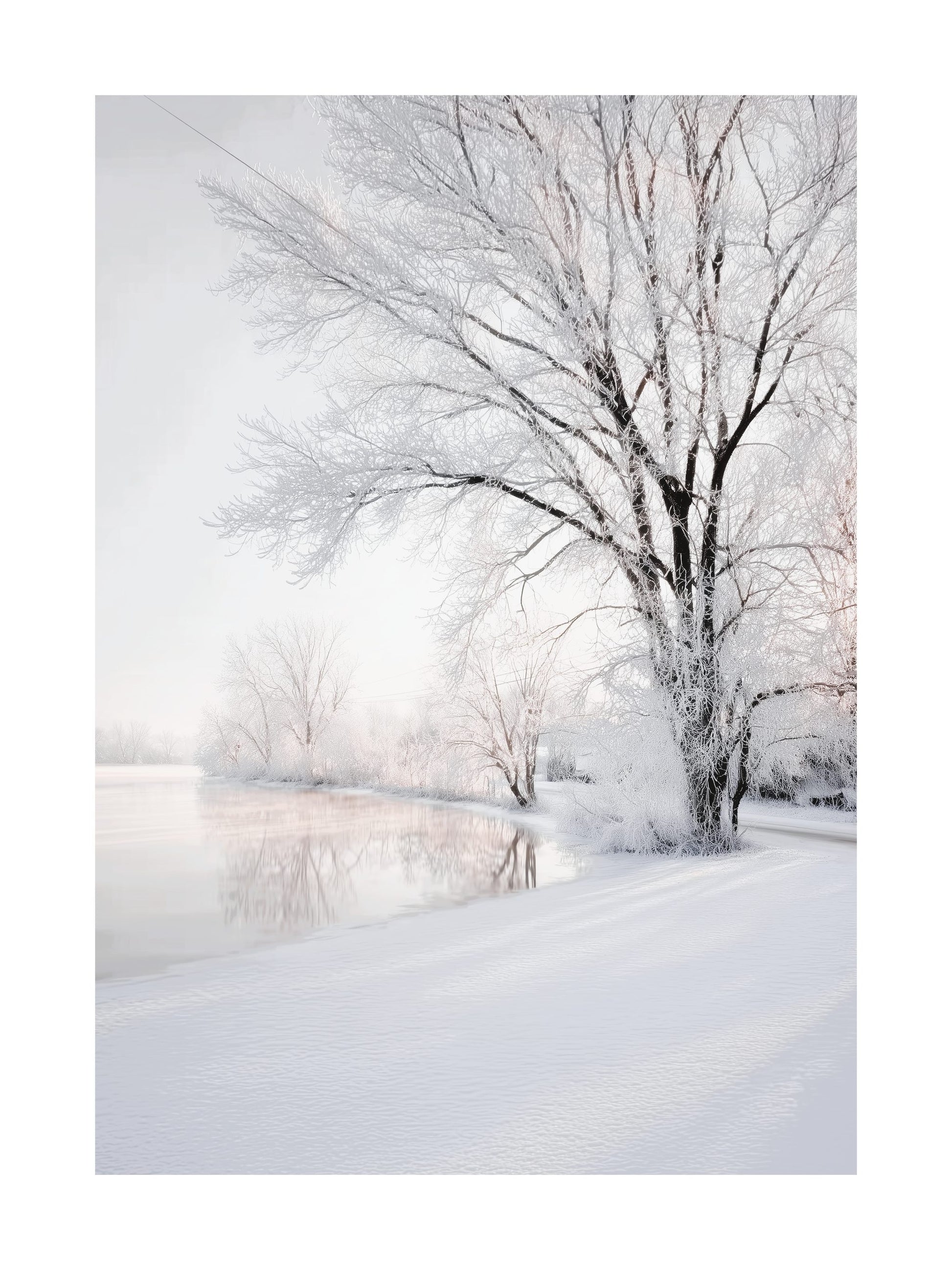 Snow-covered trees by a calm frozen lake on a winter day.
