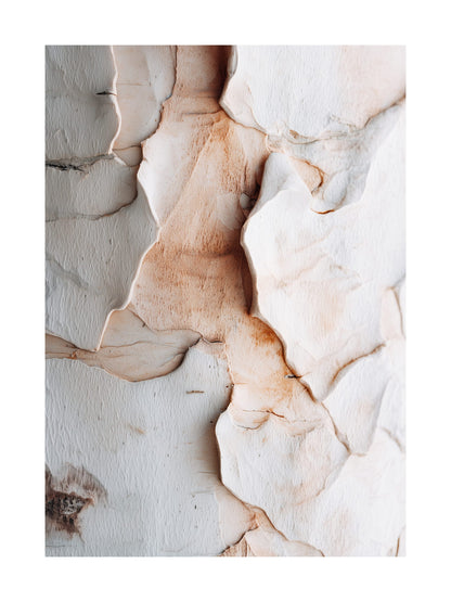 Warm beige bark texture Scandinavian minimalist nature wall art