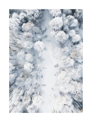 Frozen Forest Aerial Poster