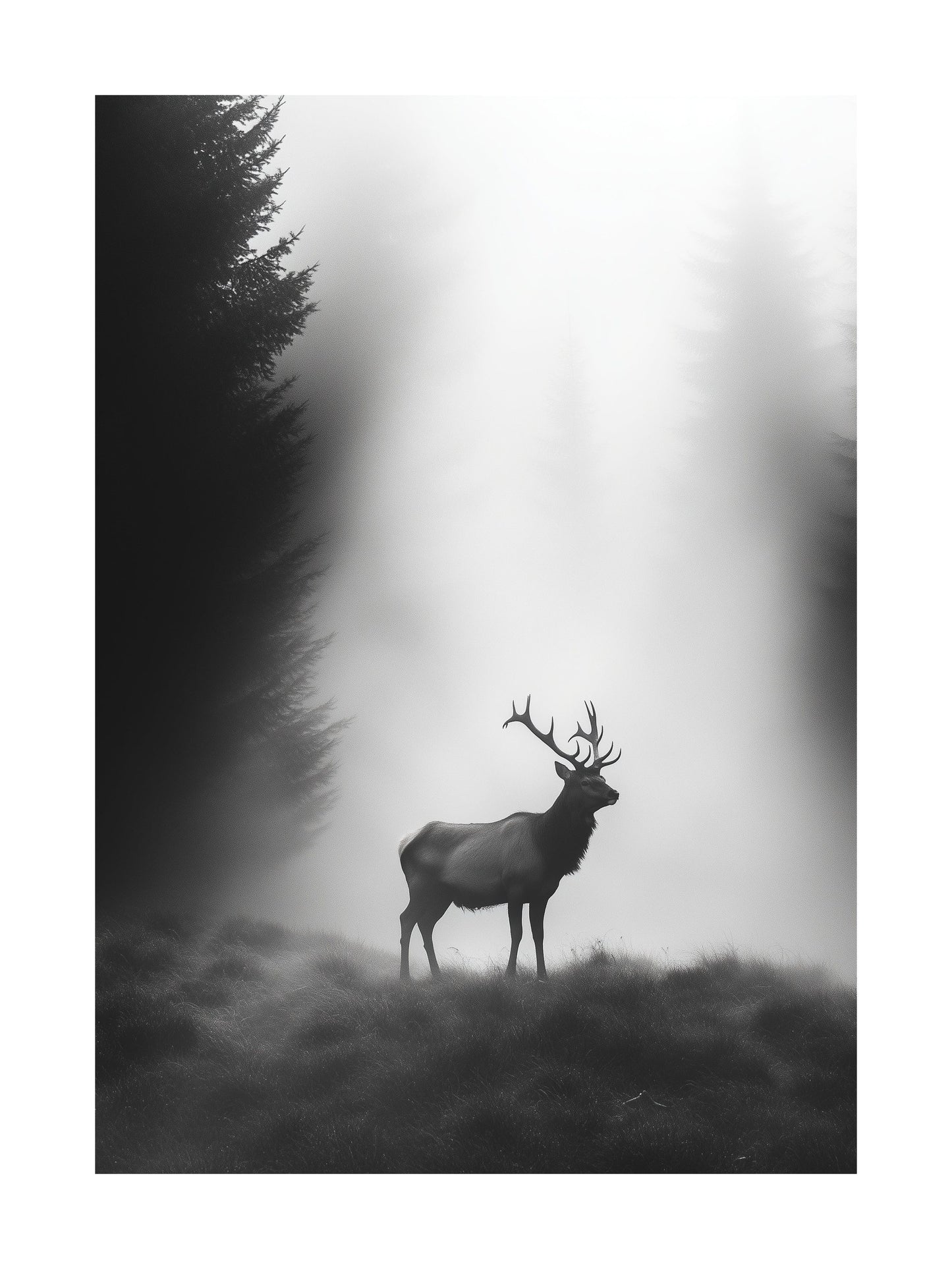 Silhouette of a stag standing in a foggy forest clearing