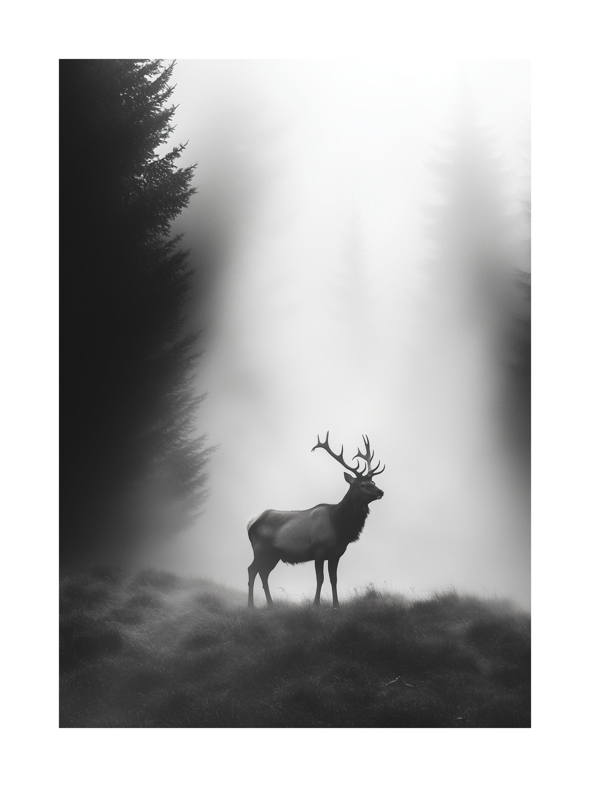 Silhouette of a stag standing in a foggy forest clearing