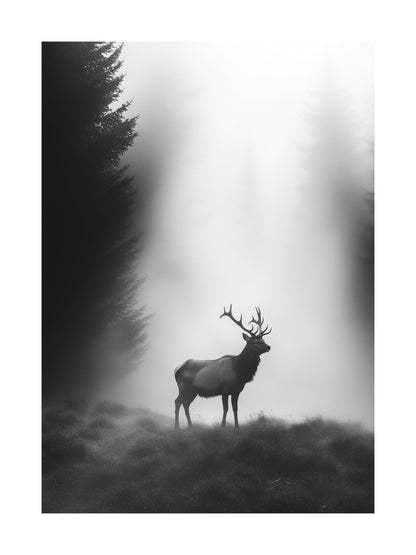 Silhouette of a stag standing in a foggy forest clearing