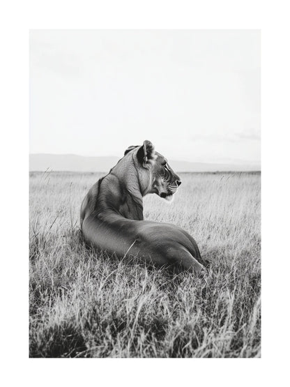Black and white photo of a lioness resting in a grassy field