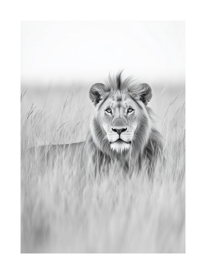 Black and white portrait of a lion lying in tall grass
